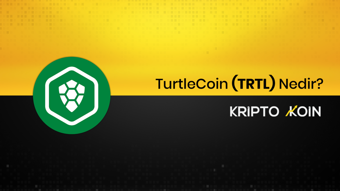 TurtleCoin Nedir? TRTL Ne İşe Yarar? Piyasa Teknik Kazananların Sitesi